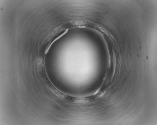 X0000070240521200606051128