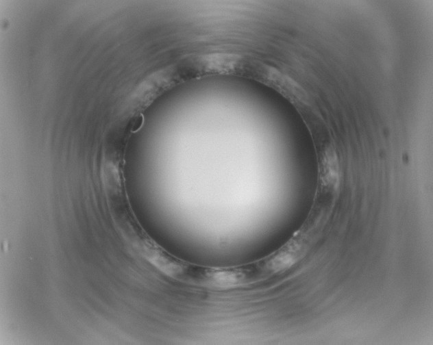 X0000070240522200606051128