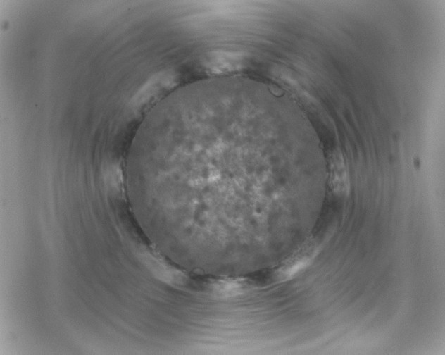 X0000070240523200606051128