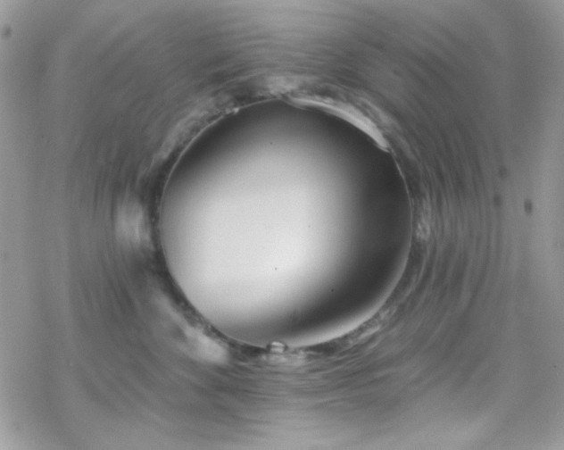 X0000070240524200606051128