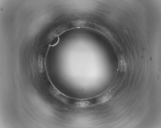 X0000070240525200606051128