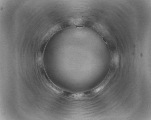 X0000070240526200606051128