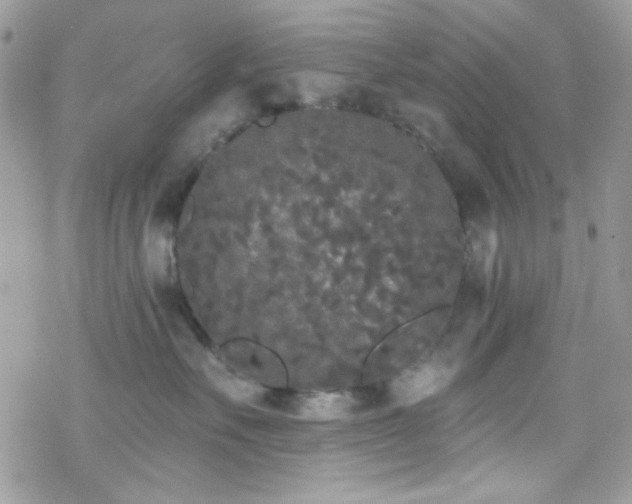 X0000070240527200606051128