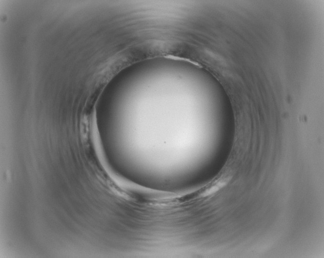 X0000070240528200606051128