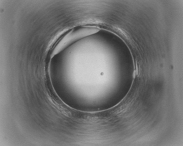 X0000070240531200606051127