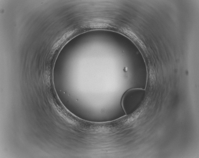 X0000070240533200606051127