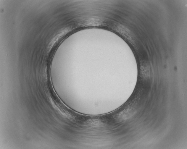 X0000070240534200606051127