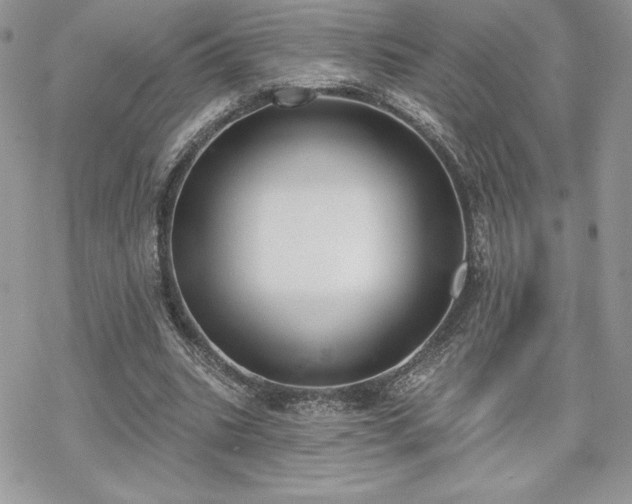 X0000070240535200606051127