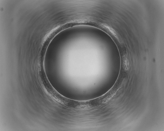 X0000070240536200606051127