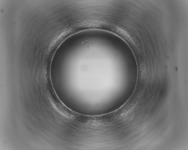 X0000070240538200606051127