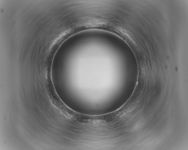 X0000070240539200606051127