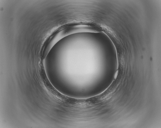 X0000070240540200606051127