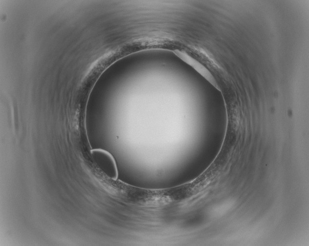 X0000070240543200606051127