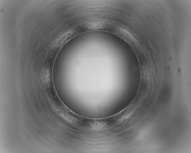 X0000070240549200606051127