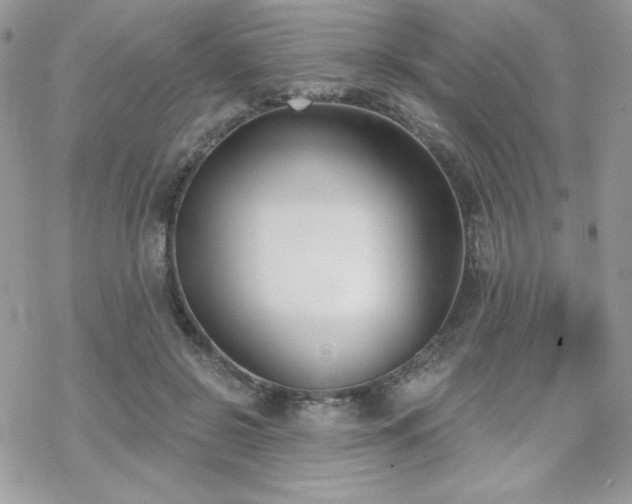 X0000070240550200606051127