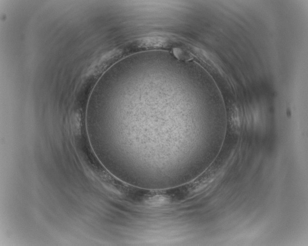 X0000070240551200606051127