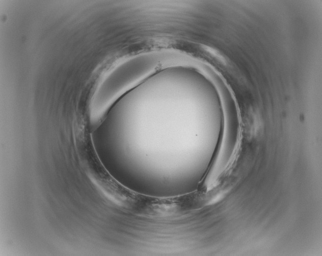 X0000070240552200606051127