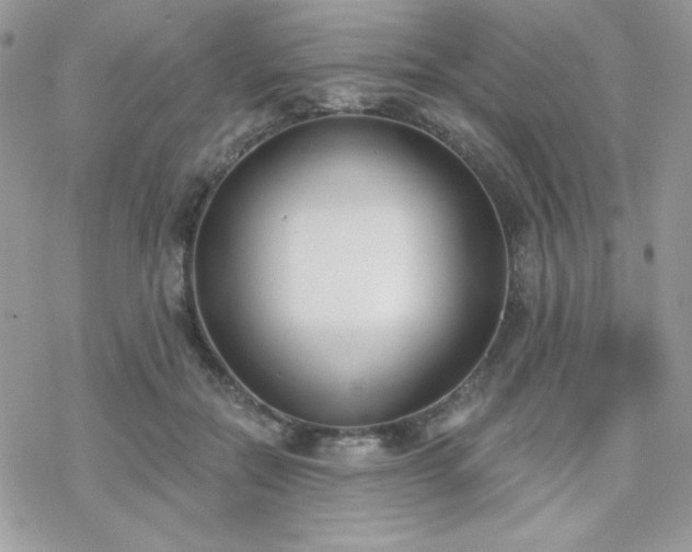 X0000070240554200606051127