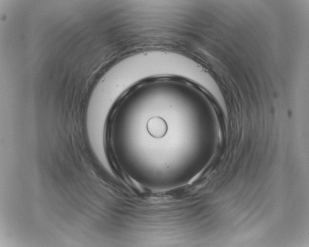 X0000070240556200606051127