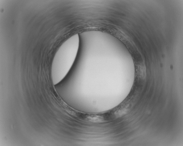 X0000070240557200606051127