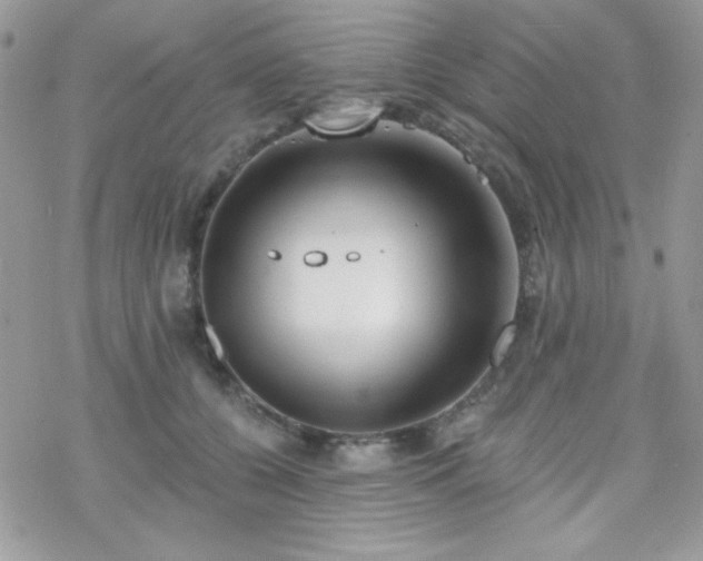 X0000070240560200606051127