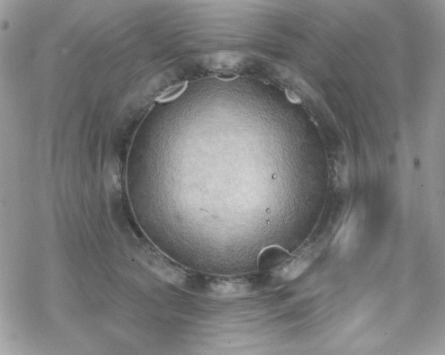 X0000070240561200606051127