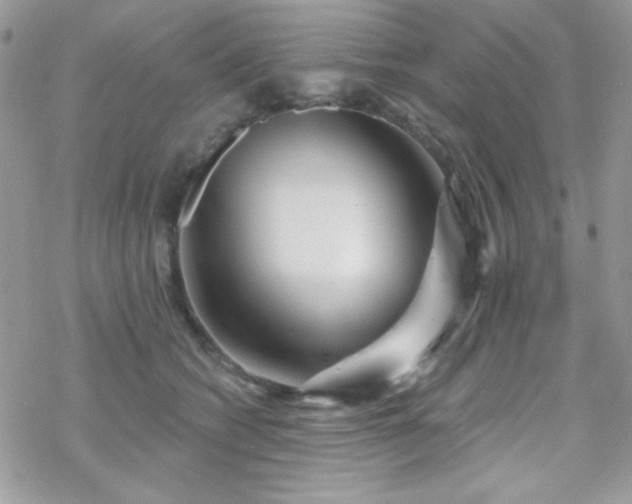 X0000070240562200606051128