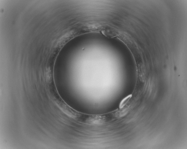 X0000070240563200606051128