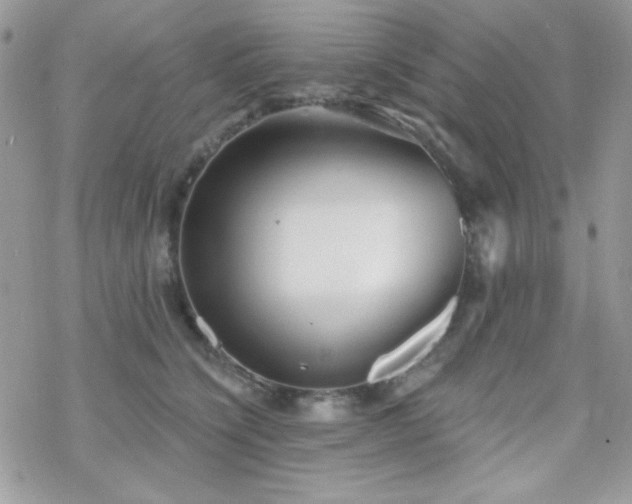 X0000070240564200606051128