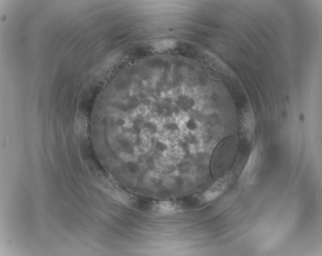 X0000070240565200606051128