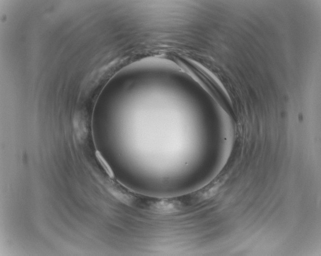 X0000070240566200606051128