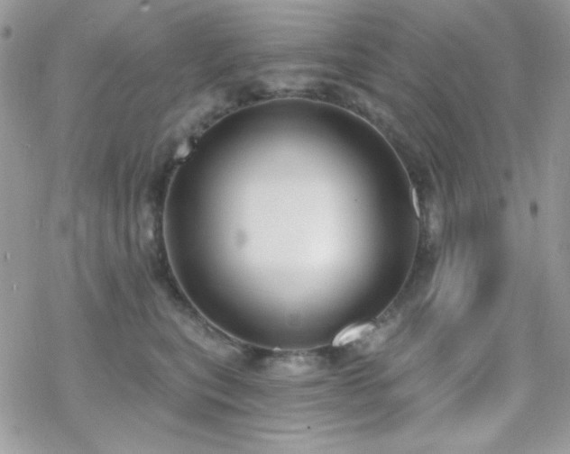 X0000070240567200606051128