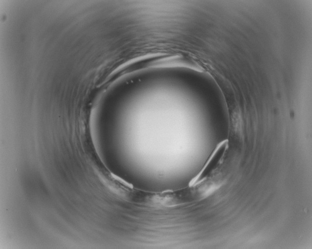 X0000070240570200606051128