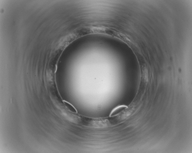 X0000070240571200606051128