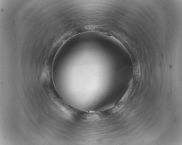 X0000070240572200606051128