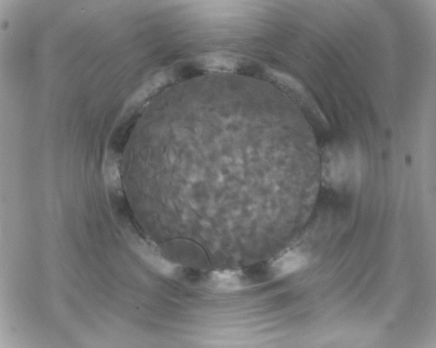 X0000070240573200606051128