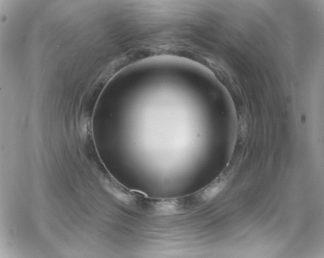 X0000070240574200606051128