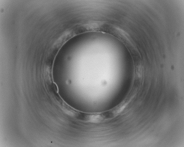 X0000070240575200606051128