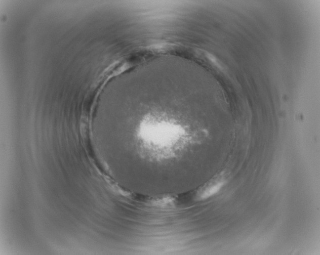 X0000070240576200606051128