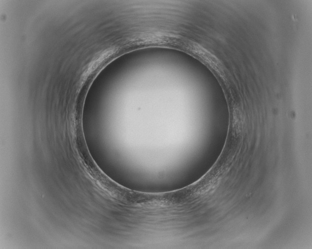 X0000070240578200606051127