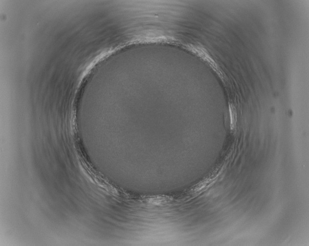 X0000070240579200606051127