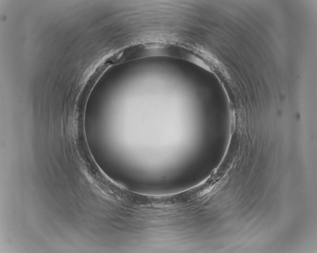 X0000070240580200606051127