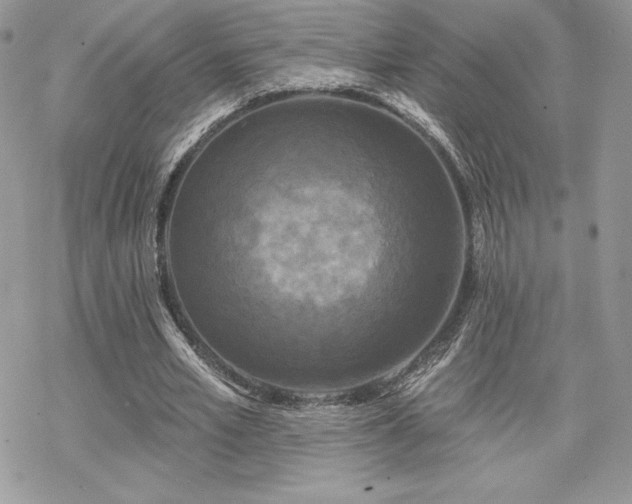 X0000070240581200606051127