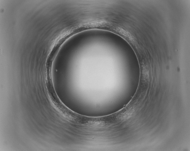 X0000070240582200606051127