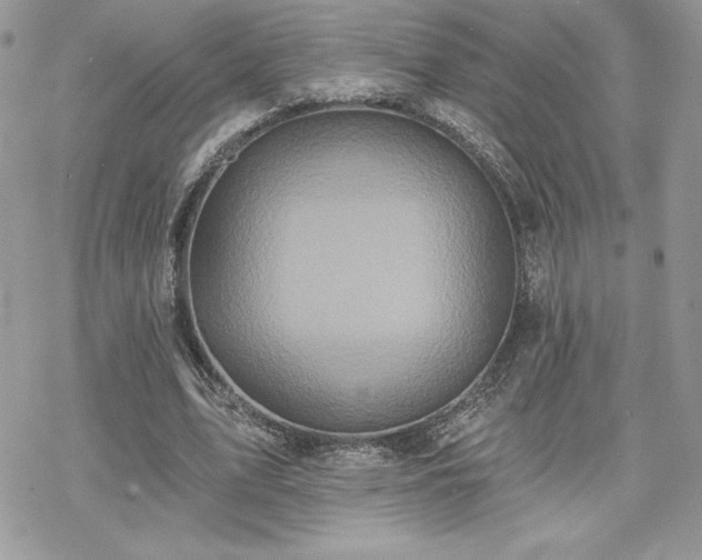 X0000070240583200606051127