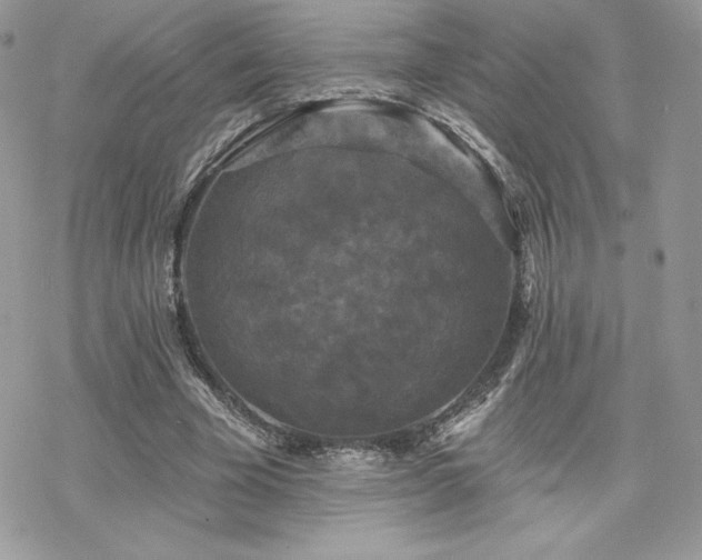 X0000070240585200606051127