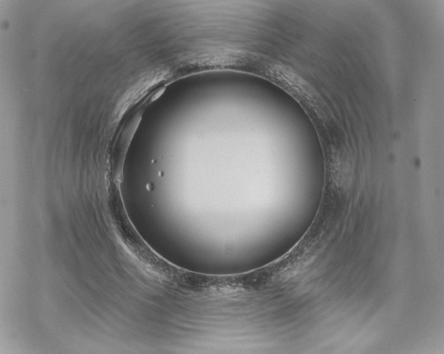 X0000070240586200606051127