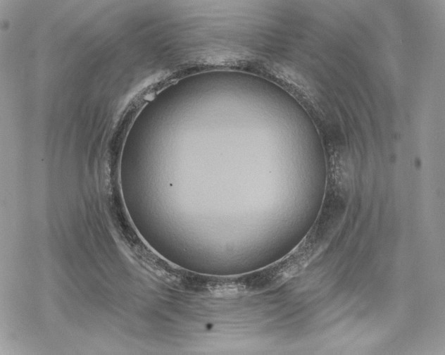 X0000070240587200606051127