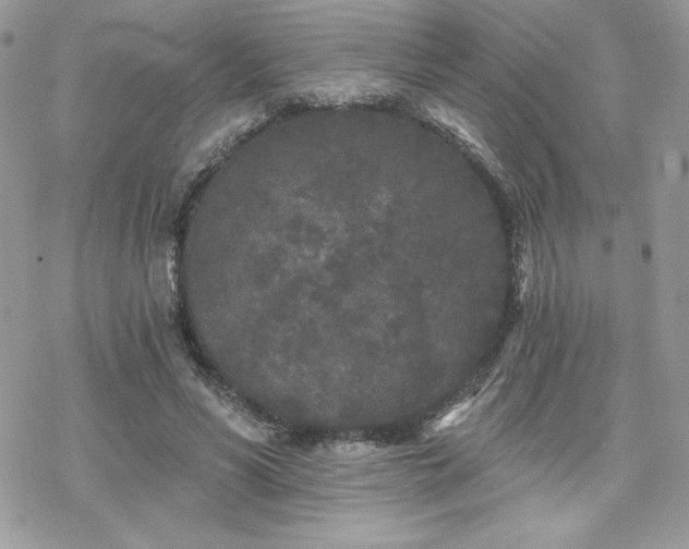 X0000070240590200606051127