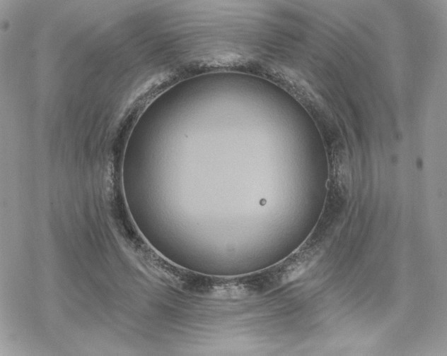 X0000070240591200606051127